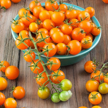 Load image into Gallery viewer, Cherry Tomato
