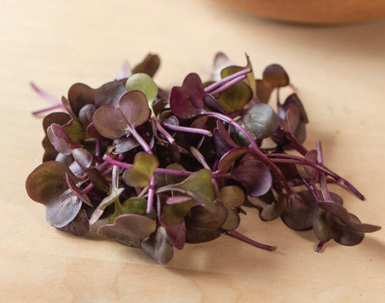 Radish Microgreens