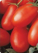 Load image into Gallery viewer, Roma Tomato (BY THE POUND)
