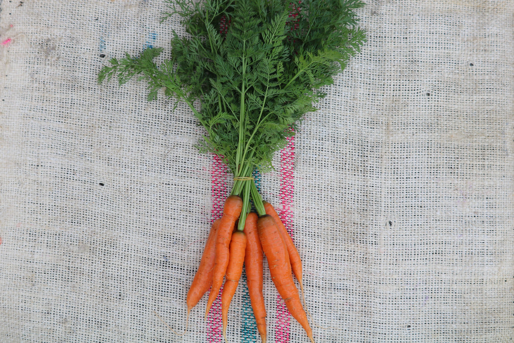 Carrots