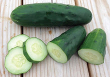 Load image into Gallery viewer, Salad Cucumber
