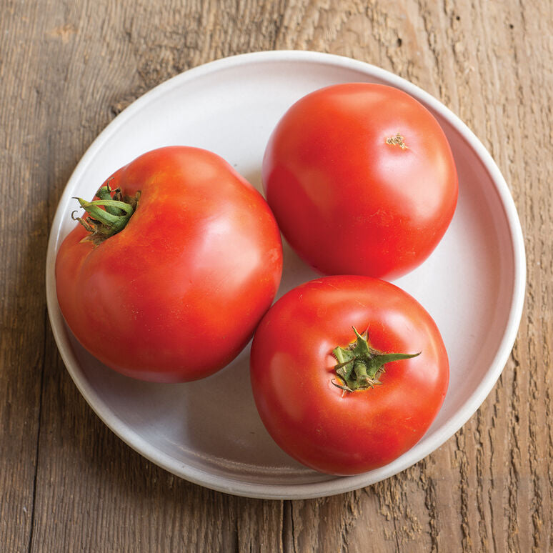 Big Beef Tomato (BY THE POUND)