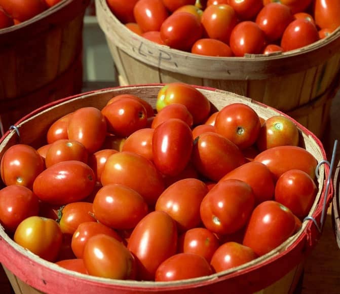 Roma Tomato (BY THE POUND)